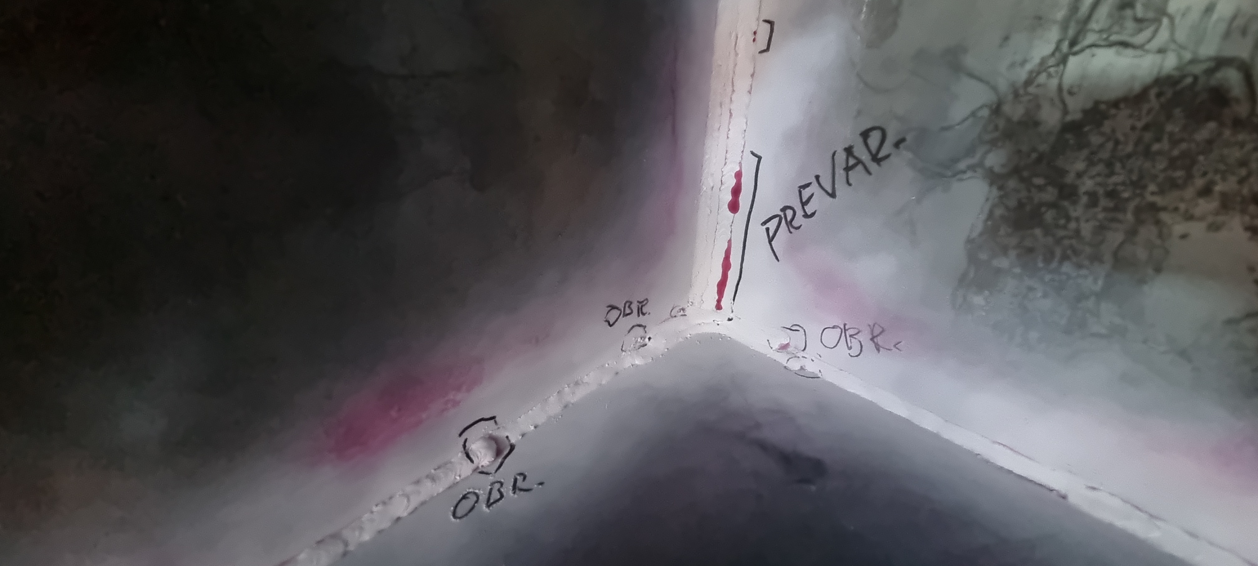 ReviDef